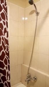 エカテリンブルクにあるАпартаменты на Невьянском Переулкеのバスルーム(シャワー、シャワーヘッド付)が備わります。