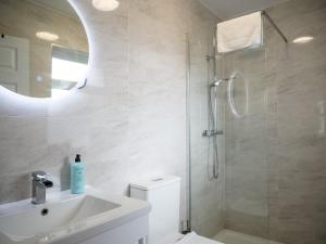 a bathroom with a shower and a toilet and a sink at Mountain View Cottages in Tralee +18 photos