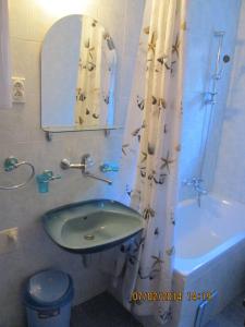 Guest House Ivo Jovanovic tesisinde bir banyo