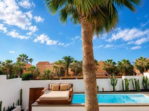 a patio with a palm tree next to a swimming pool at Casa Abora - Ocean Views, Private Pool & Sunsets in La Pared