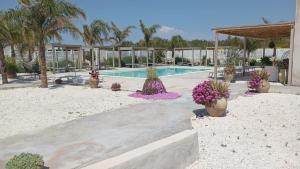 a swimming pool with potted plants on the beach at Agri Lemon Green in Pachino