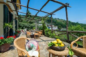 a patio with chairs and a table with a basket of fruit at Agriturismo Fattoria Terranova in SantʼAgata sui Due Golfi