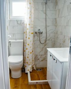 a bathroom with a toilet and a shower at Apartmani Grbović in Čanj