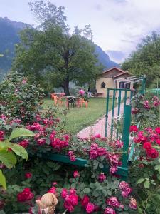 a garden with pink flowers and a chair in a yard at Ahmed Lodge in Harganyiwan
