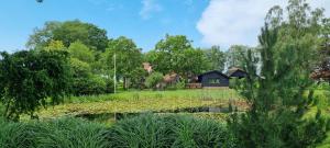 a garden with a pond and a house in the background at 't Achterhuis in Alteveer