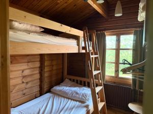 a bunk bed in a wooden cabin with a ladder at Baron in Beffe
