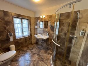 a bathroom with a shower and a toilet and a sink at Malom Hotel in Debrecen +46 photos