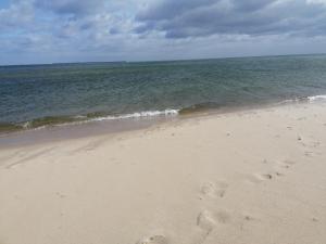 a beach with footprints in the sand and the ocean at Apartament Stogi in Gdańsk
