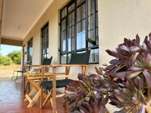 a room with a table and chairs and some plants at Miti Retreat Nanyuki in Naro Moru