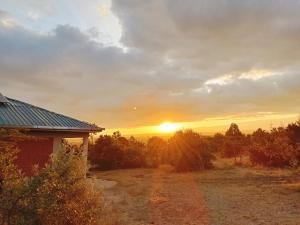 a sunset over a field next to a house at Miti Retreat Nanyuki in Naro Moru +13 photos
