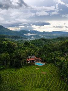 a house in the middle of a green field at Visari Fall Villa Ella in Ella
