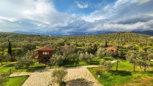 an aerial view of a house on a hill at Oli Kazdağları in Biller