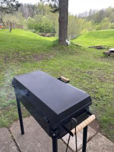 ein Grill steht auf einem Picknicktisch in einem Park in der Unterkunft Silla Villa in Paikuse