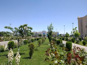 a garden with trees and bushes on a road at COMFORT house in Khiva