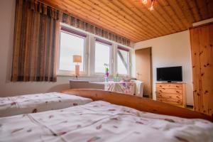a bedroom with two beds and a television in it at Doppelzimmer mit Dusche und Wc in Lennestadt
