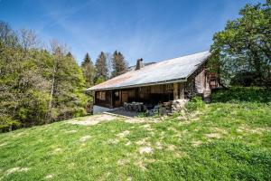 a house with a metal roof on top of a field at Chalet Familial Chaleureux in Abondance