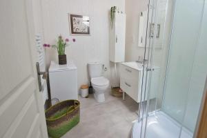 a bathroom with a toilet and a glass shower at The Lodge Gite 3 Star in Saint-Privat-des-Prés