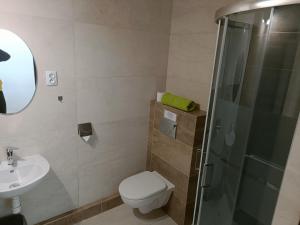 a bathroom with a shower and a toilet and a sink at Noclegi Piotrków Tryb in Piotrków Trybunalski