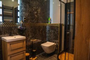 a bathroom with a toilet and a shower and a sink at Kaszmir Apartments in Opole