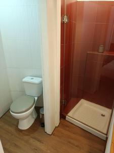 a bathroom with a toilet and a shower at Villa Régio Studio in Vila do Conde