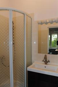 La salle de bains est pourvue d'un lavabo et d'une douche en verre. dans l'établissement Studio Iwicka, à Varsovie