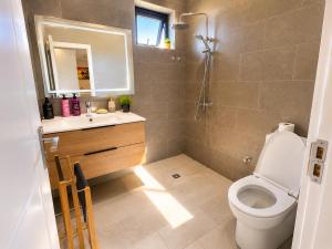 a bathroom with a toilet and a sink and a mirror at Oaks Penthouse - Flic en Flac in Flic-en-Flac +7 photos