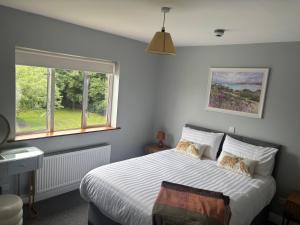a bedroom with a bed and a window at Ivy Guesthouse in Kilkenny