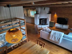a living room with a couch and a fireplace at Lilla Åsbo Gård in Husvallsgölen