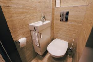 a bathroom with a white toilet and a sink at Casa Calma in Esztergom +23 photos