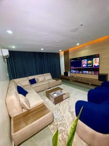 a living room with a couch and a tv at The Crest Triplex in Ikeja