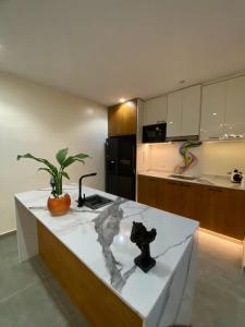 a kitchen with a counter with a plant on it at The Crest Triplex in Ikeja +1 photo