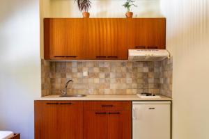 a kitchen with wooden cabinets and a white refrigerator at Skinos Apartments in Plakias