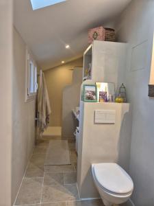 a small bathroom with a toilet and a staircase at Maison en bord de rivière in Cheffes-sur-Sarthe +13 photos