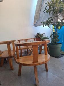 a wooden table and benches with plants and a plant at Radovići,Luštice in Radovici