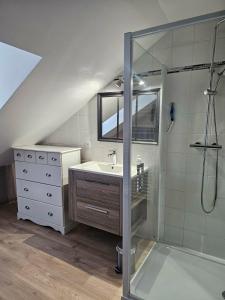 a bathroom with a sink and a shower at Les Trésors à 2 pas du Pal in Dompierre-sur-Besbre