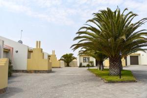 a palm tree in the middle of a driveway at High tide complex in Langstrand