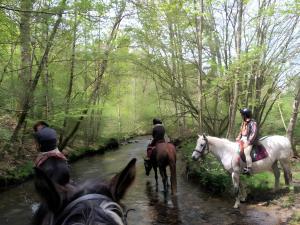 three people riding horses through a stream at Le Chalet De Pierre Sèche in Chaumard