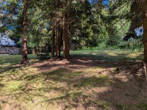 a group of trees in a field with grass at Jariabka Chalet - sun terace, fireplace, grill, space to play, green embrace of the forest in the Low Tatras in Jarabá