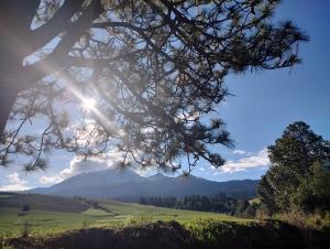 a tree with the sun shining on a mountain at La Casa de Lu cerca de Volcanic park in San Martín Ojo de Agua