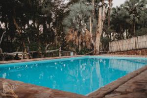 a blue swimming pool with palm trees in the background at Epupa Falls Lodge in Epupa