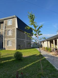a small tree in front of a building at The Bay Apartments in Cholpon-Ata
