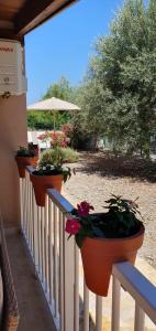 a row of potted plants on a fence at Marija Holiday Home in Sućuraj