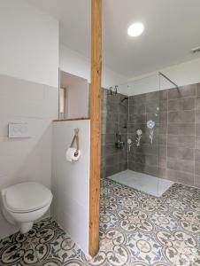 a bathroom with a toilet and a shower at Le Clos d'Artagnan in Valcabrère +24 photos