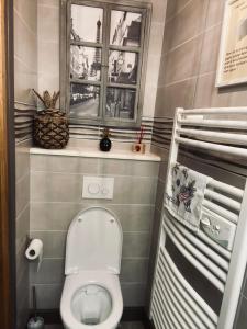 a small bathroom with a toilet and a window at La Longère des Oies in Saint-Thibault +25 photos