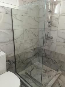 a bathroom with a glass shower with a toilet at Serenity in Petra