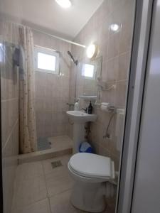 a bathroom with a toilet and a shower and a sink at Casa Ștefan in 2 Mai