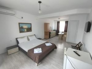 a bedroom with a bed and a television in it at Casa Ștefan in 2 Mai +15 photos
