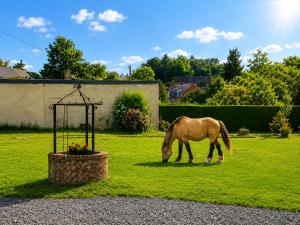 a brown horse grazing in a field of grass at La Ferme des Coquelicots in Miraumont