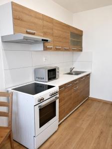 a kitchen with white appliances and wooden cabinets at Monteurwohnungen in Markranstädt in Markranstädt +16 photos