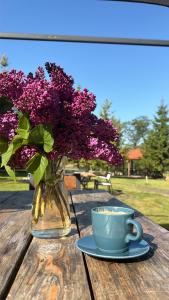 a vase of purple flowers and a cup of coffee on a table at Apartamenty u Gruzina in Ruda
